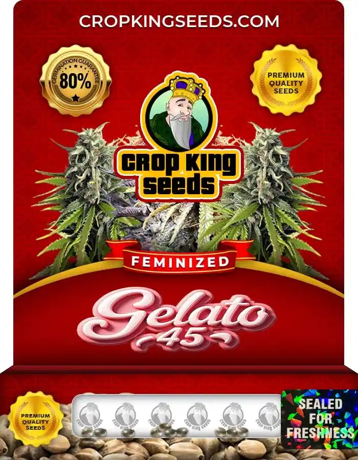 Gelato 45 Strain Feminized Marijuana Seeds