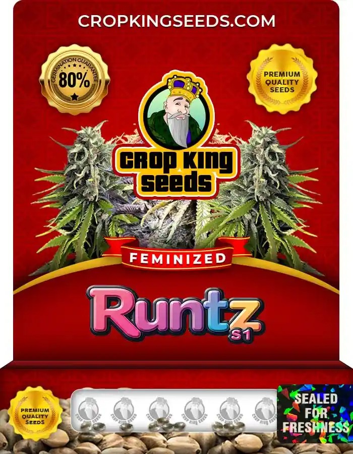 Runtz S1 Feminized Seeds