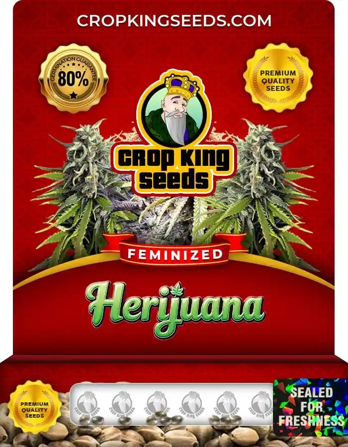Herijuana Feminized Seeds