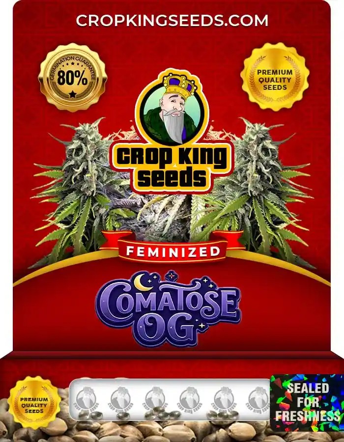 Comatose OG Feminized Seeds