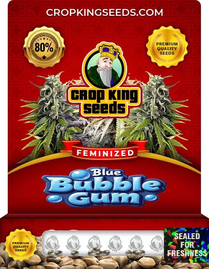 Blue Bubble Gum Feminized Seeds