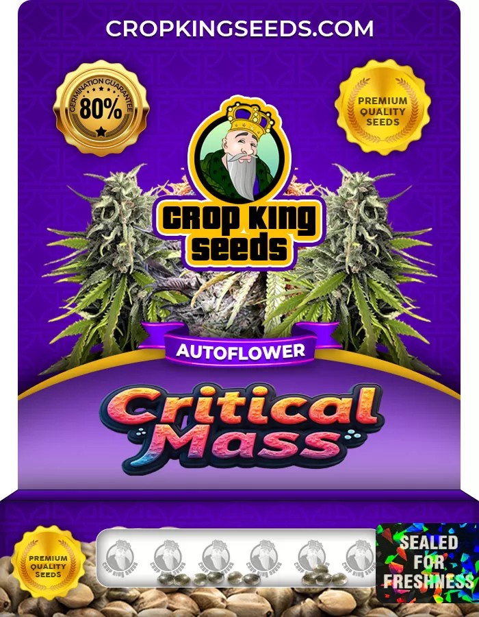 Critical Mass Autoflower Marijuana Seeds