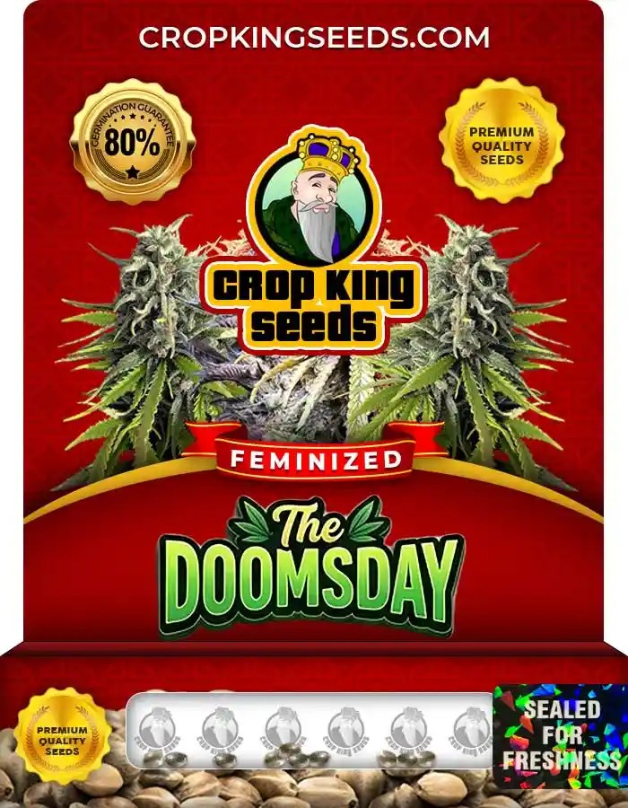 The Doomsday Strain Feminized Seeds