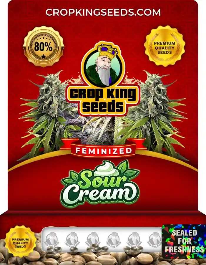 Sour Cream Strain Feminized Marijuana Seeds