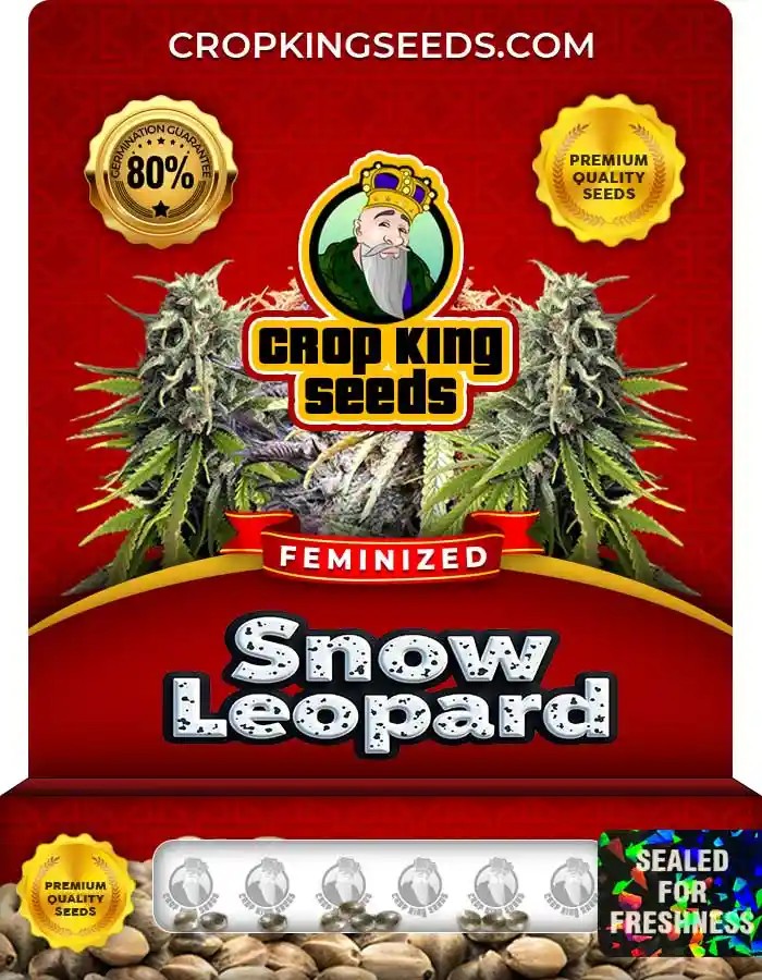 Snow Leopard Feminized Seeds