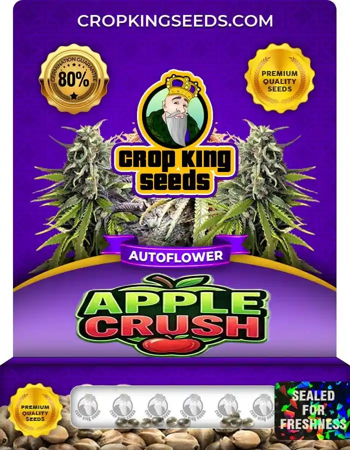 Apple Crush Autoflower Seeds