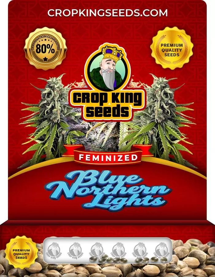 Blue Northern Lights Strain Feminized Seeds