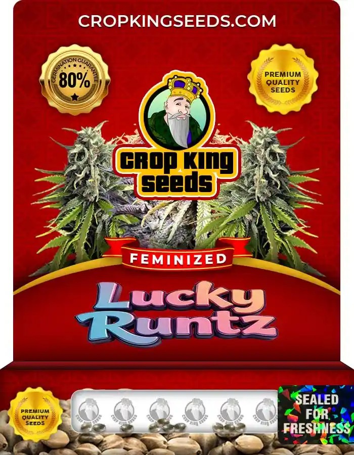 Lucky Runtz Feminized Seeds