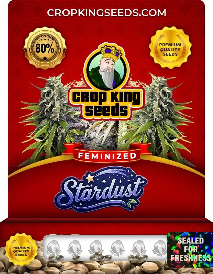 Stardust Strain Feminized Marijuana Seeds