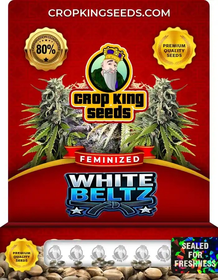 White Beltz Strain Feminized Seeds