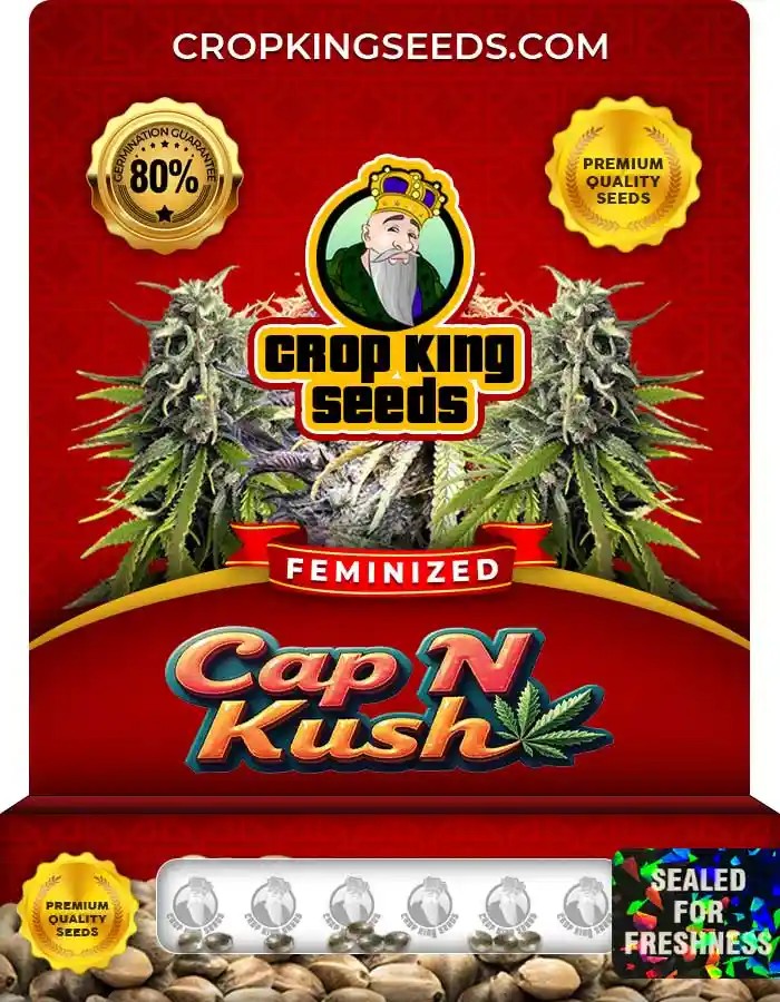 Cap N Kush Feminized Seeds