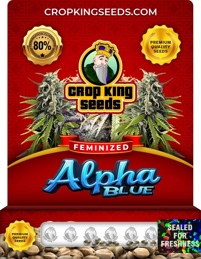 Alpha Blue Feminized Marijuana Seeds