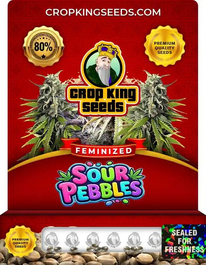 Sour Pebbles Strain Feminized Marijuana Seeds