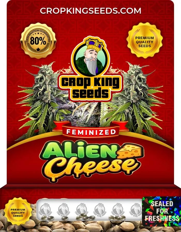 Alien Cheese Strain Feminized Seeds