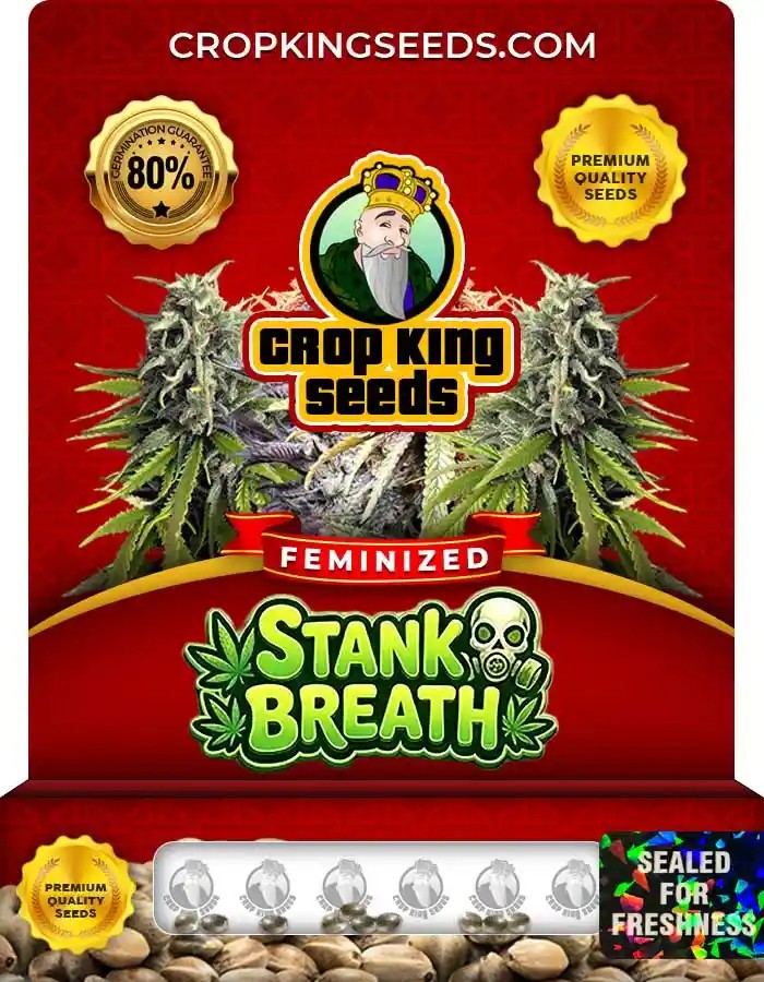 Stank Breath Strain Feminized Marijuana Seeds