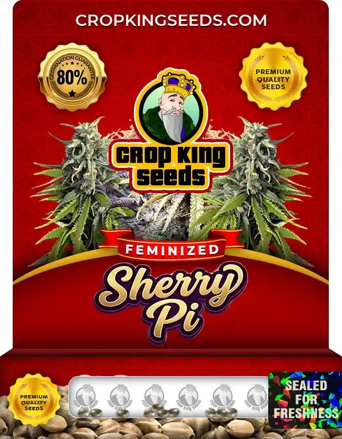 Sherry Pi Strain Feminized Seeds
