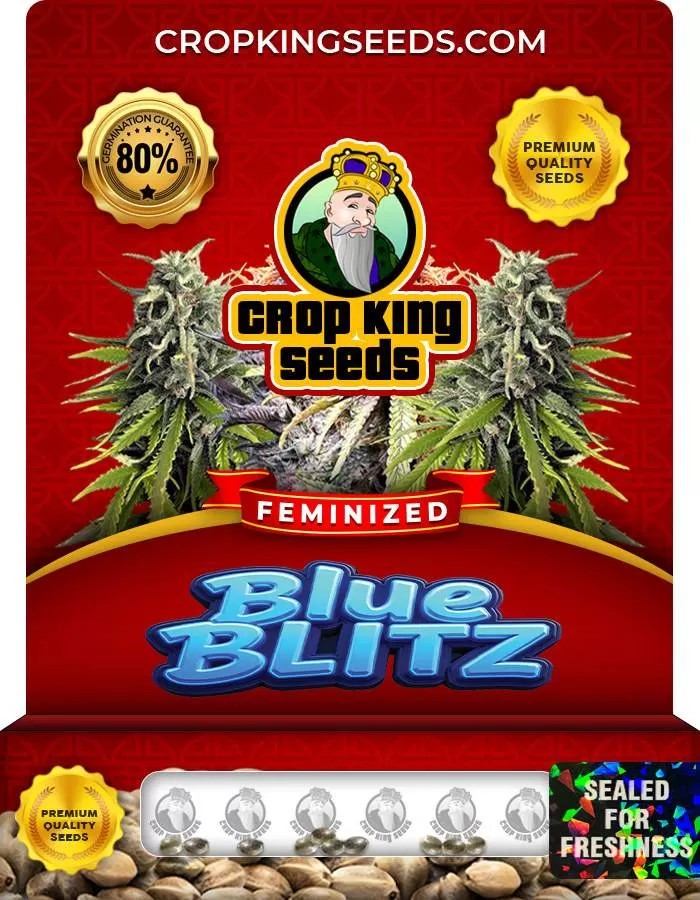 Blue Blitz Feminized Seeds