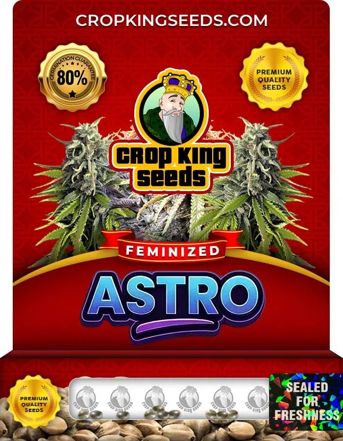 Astro Strain Feminized Seeds