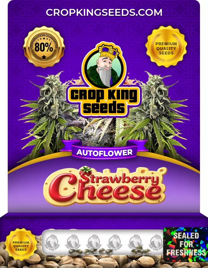 Strawberry Cheese Autoflower Marijuana Seeds