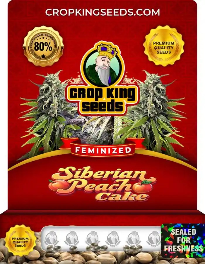 Siberian Peach Cake Feminized Seeds