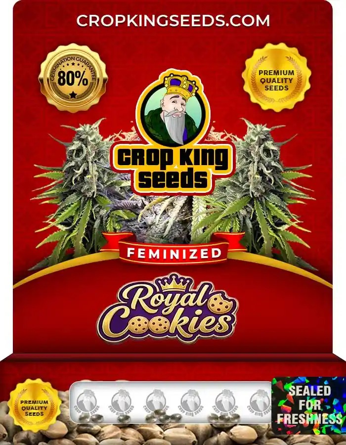 Royal Cookies Feminized Seeds