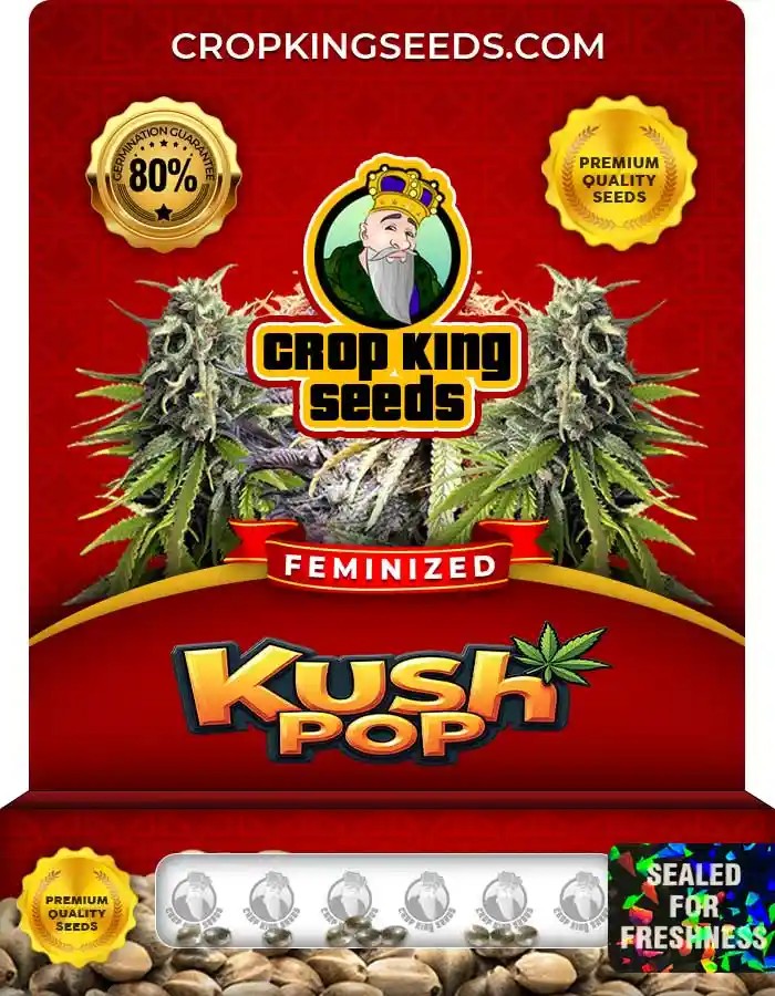 Kush Pop Feminized Marijuana Seeds