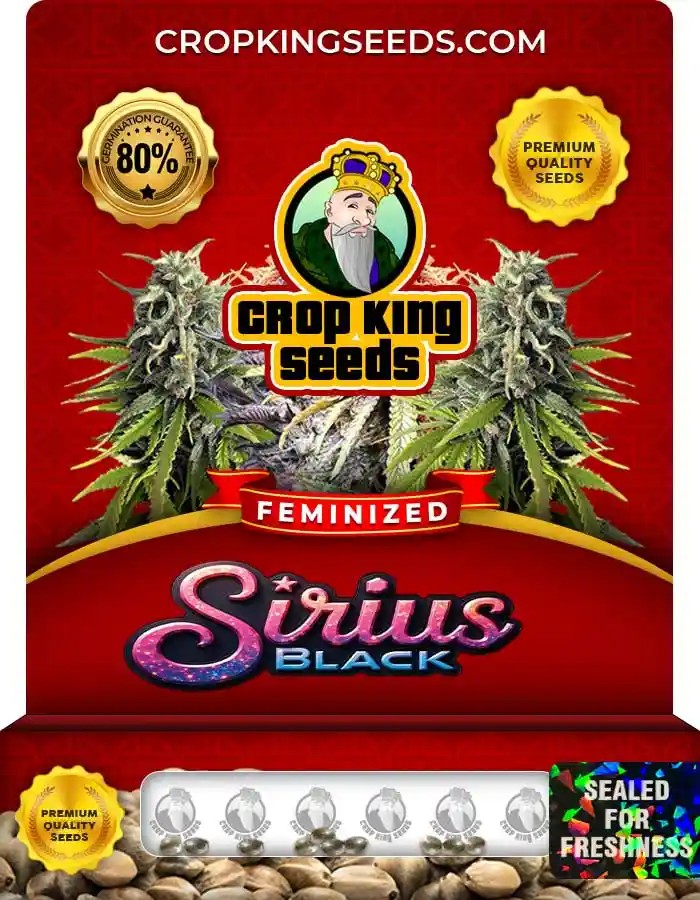 Sirius Black Strain Feminized Marijuana Seeds