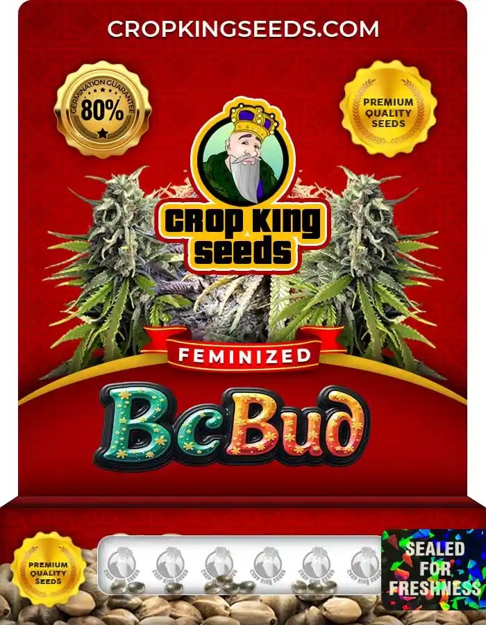 BC Bud Feminized Seeds