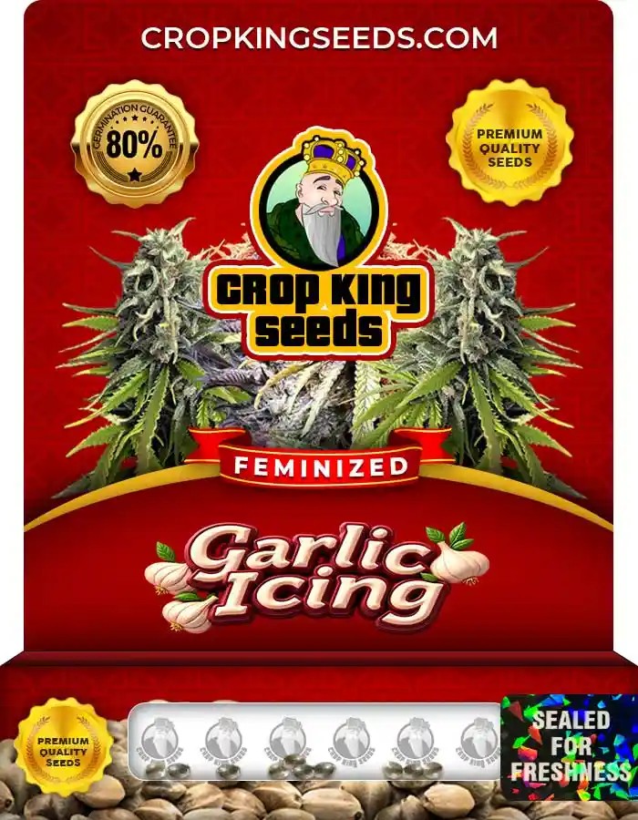 Garlic Icing Strain Feminized Marijuana Seeds