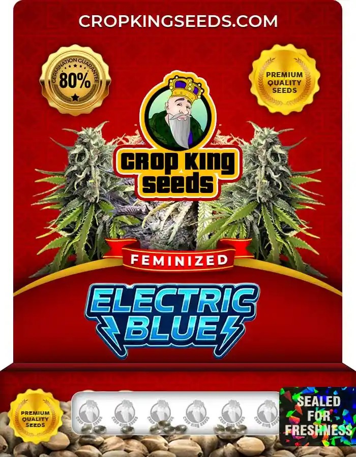 Electric Blue Strain Feminized Marijuana Seeds