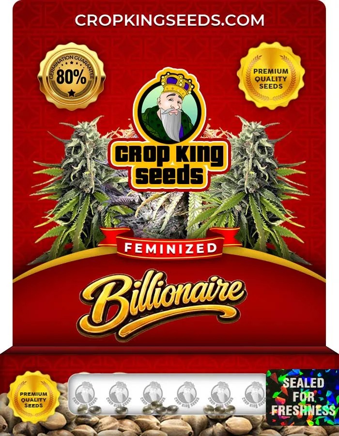 Billionaire Strain Feminized Seeds