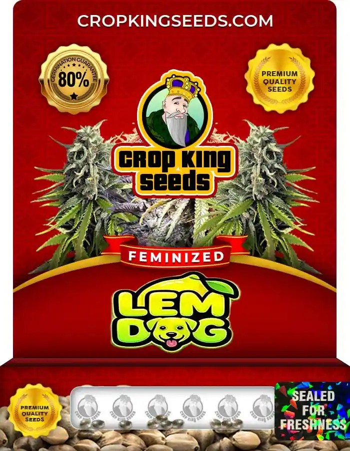 Lem Dog Strain Feminized Marijuana Seeds