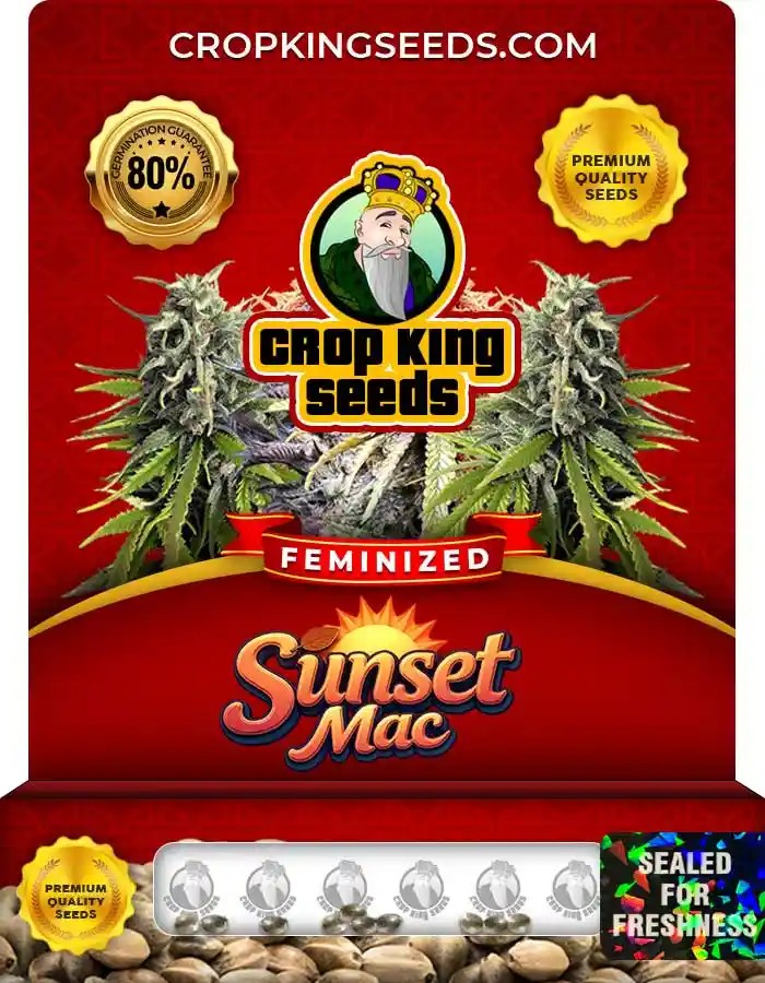 Sunset Mac Strain Feminized Marijuana Seeds