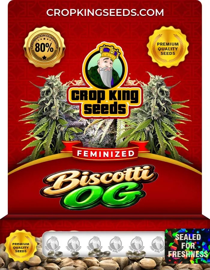 Biscotti Og Strain Feminized Seeds