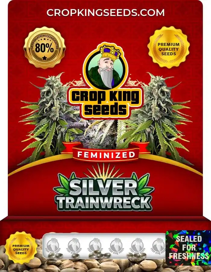 Silver Trainwreck Strain Feminized Seeds