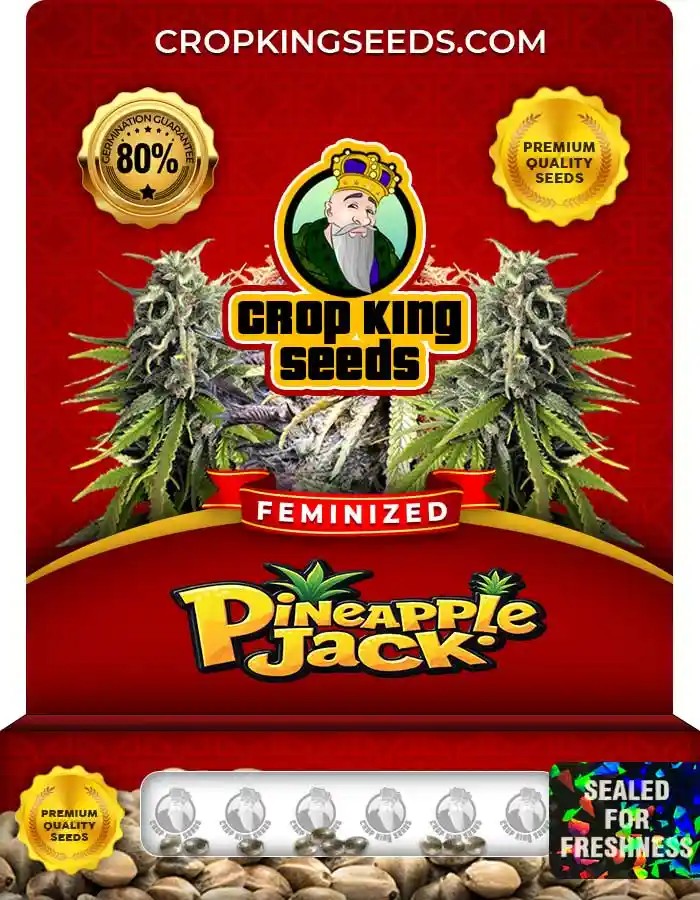 Pineapple Jack Feminized Seeds