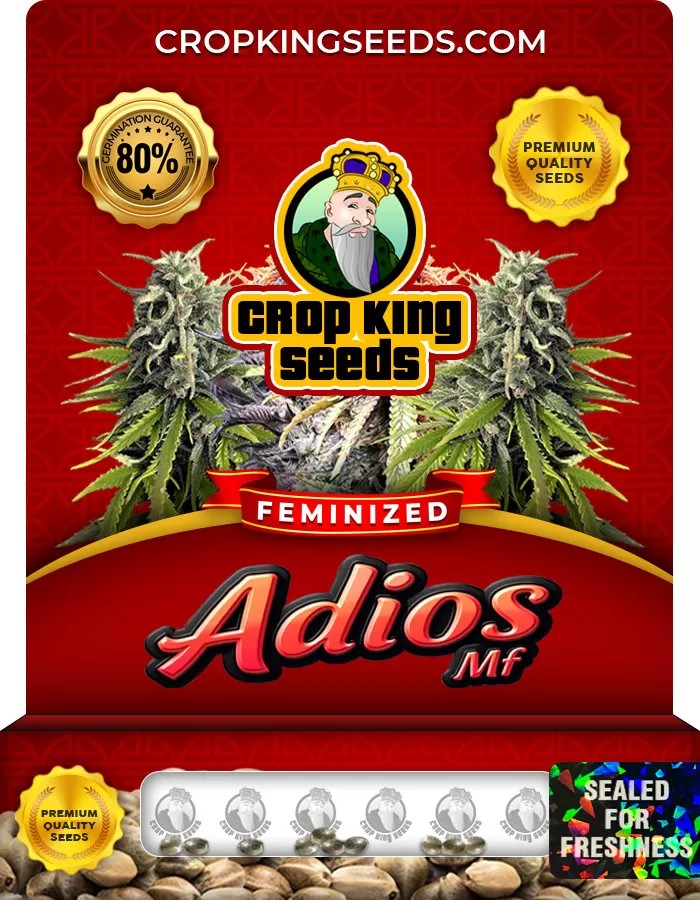 Adios MF Feminized Marijuana Seeds