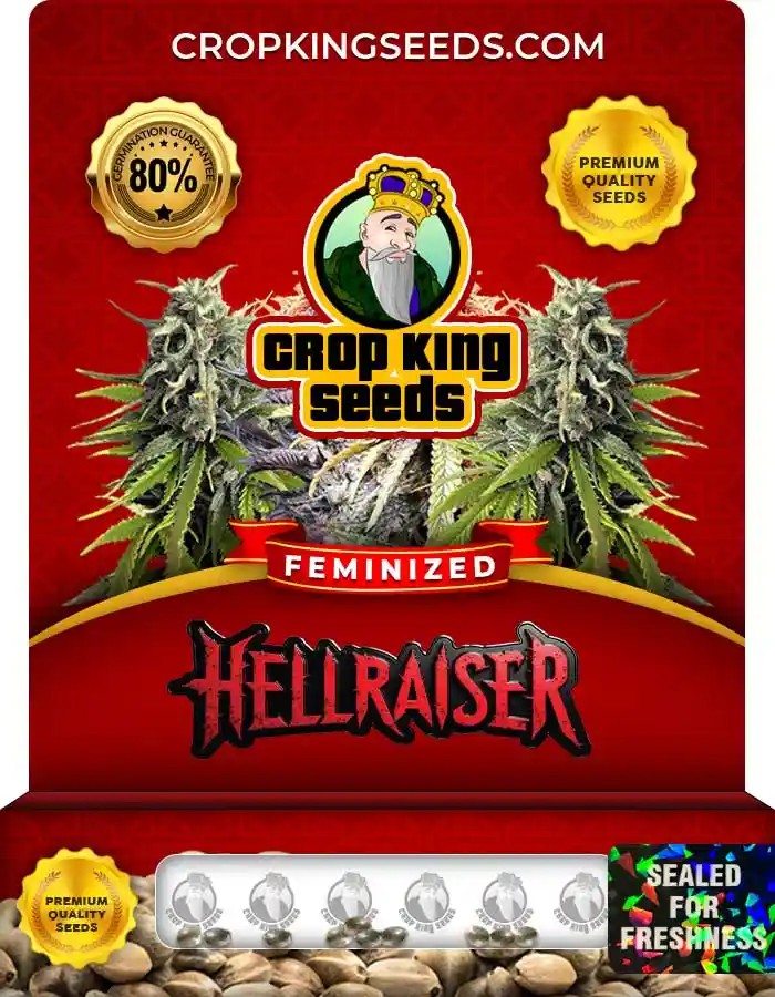Hellraiser Feminized Seeds