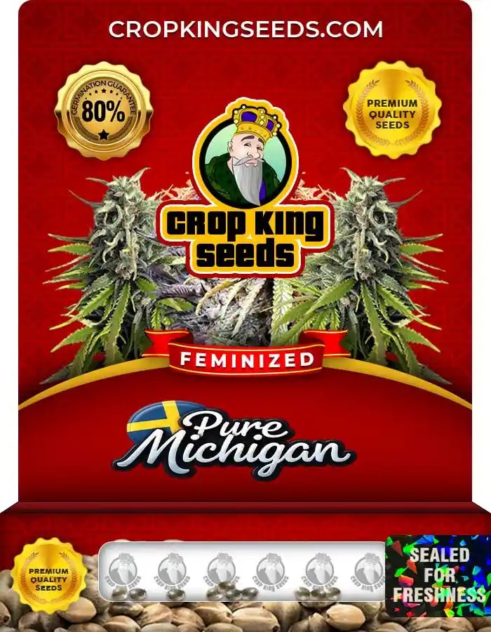 Pure Michigan Strain Feminized Marijuana Seeds