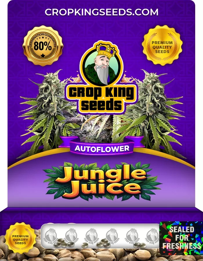 Jungle Juice Autoflower Marijuana Seeds