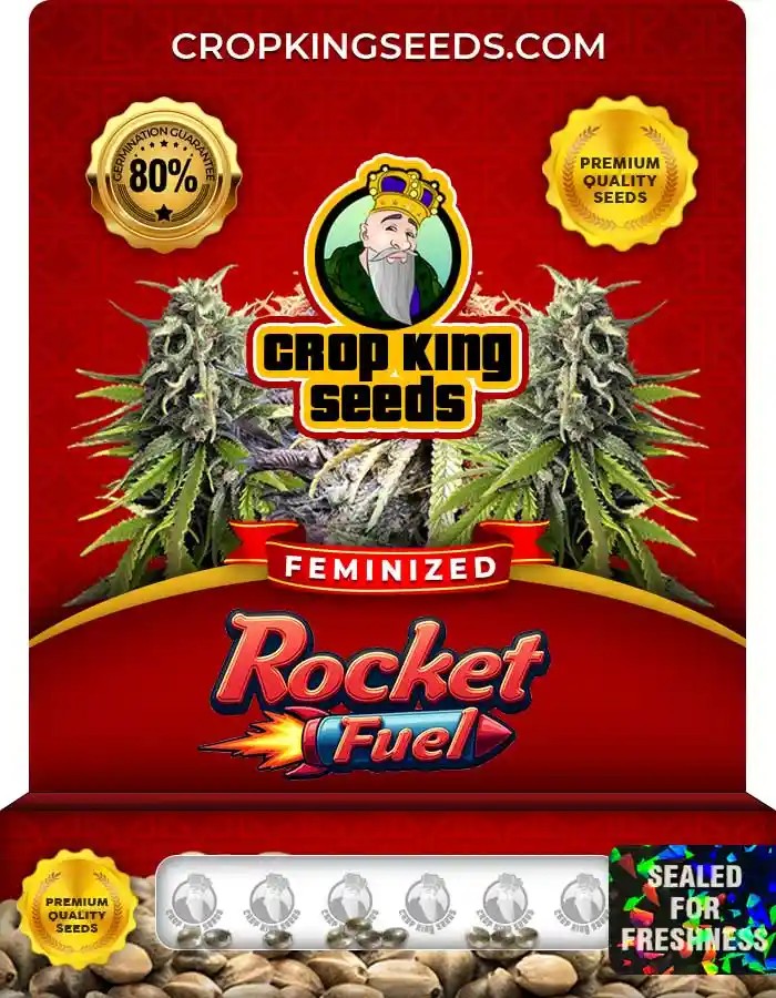 Rocket Fuel Strain Feminized Marijuana Seeds