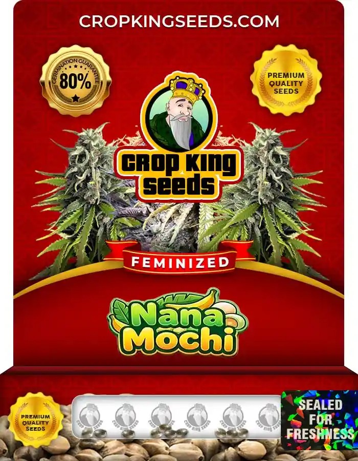 Nana Mochi Strain Feminized Seeds