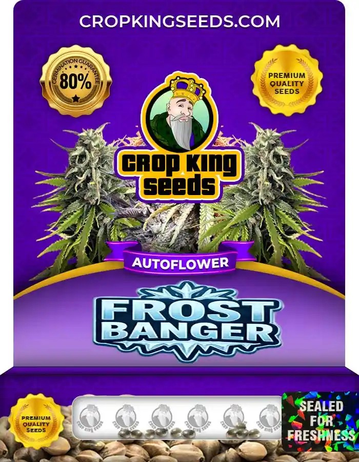 Frostbanger Autoflower Seeds
