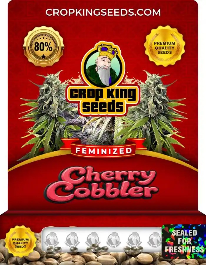 Cherry Cobbler Feminized Seeds