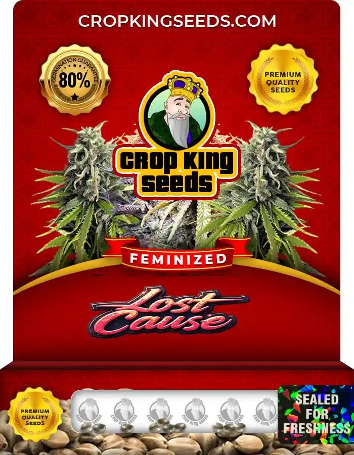 Lost Cause Strain Feminized Marijuana Seeds