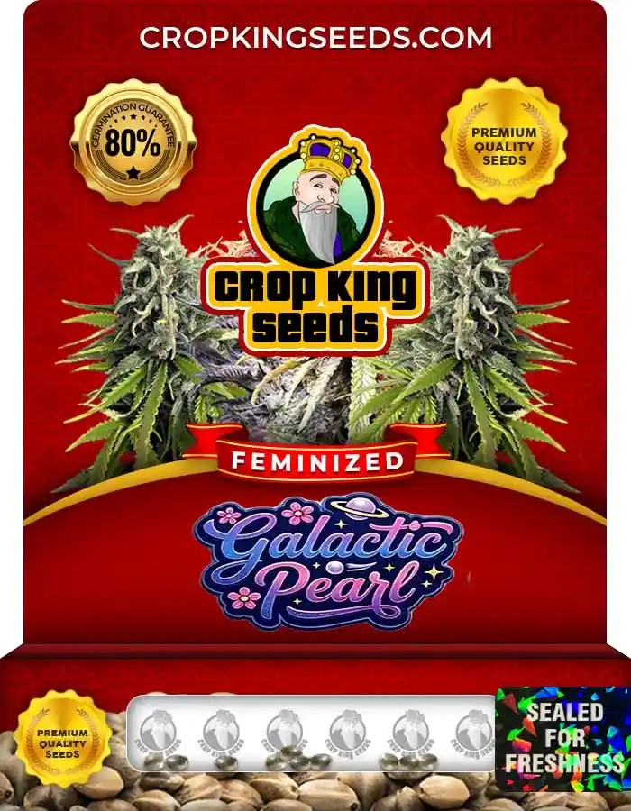 Galactic Pearl Strain Feminized Seeds