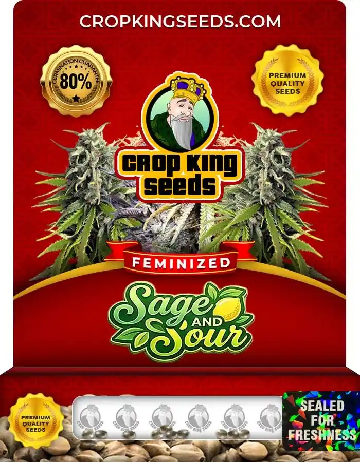 Sage and Sour Feminized Seeds
