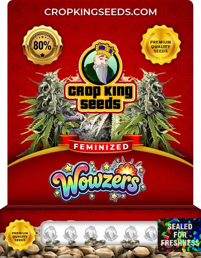 Wowzers Strain Feminized Marijuana Seeds