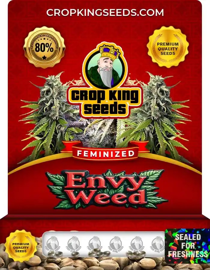 Envy Weed Strain Feminized Marijuana Seeds