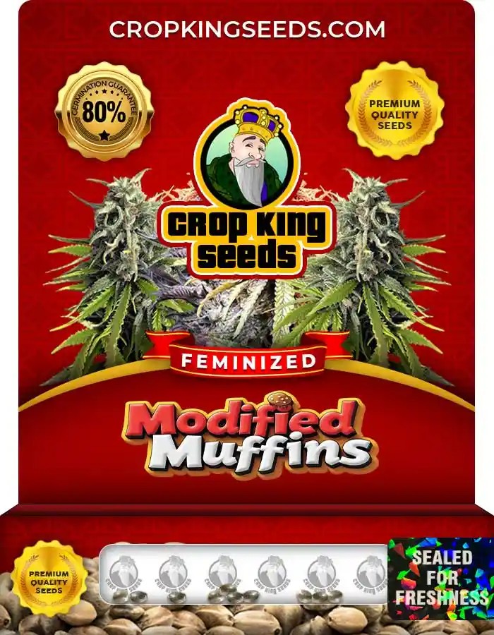 Modified Muffins Strain Feminized Marijuana Seeds